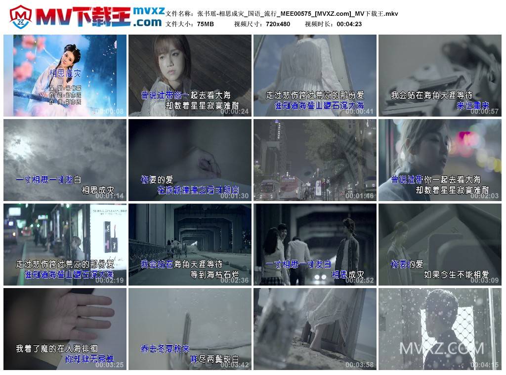 张书瑶-相思成灾_国语_流行_MEE00575